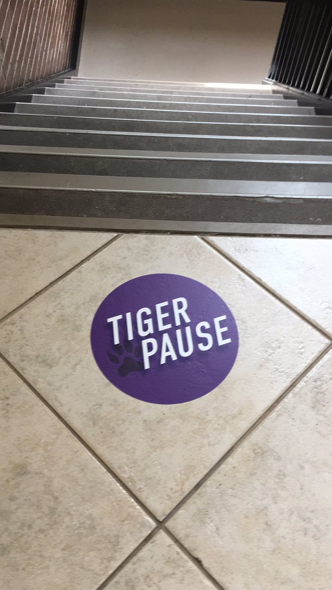 mholcomb28's tweet photo. @olivetnazarene @lifeatolivet Prepping for fall. #TigerPause https://t.co/IUuJjpEtu1