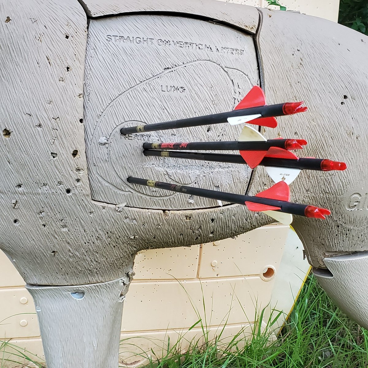 PSynoground's tweet photo. Sept. 12th is fast approaching! Time to get practice in and got the new broadheads in the mail. https://t.co/YpHvWI4idH