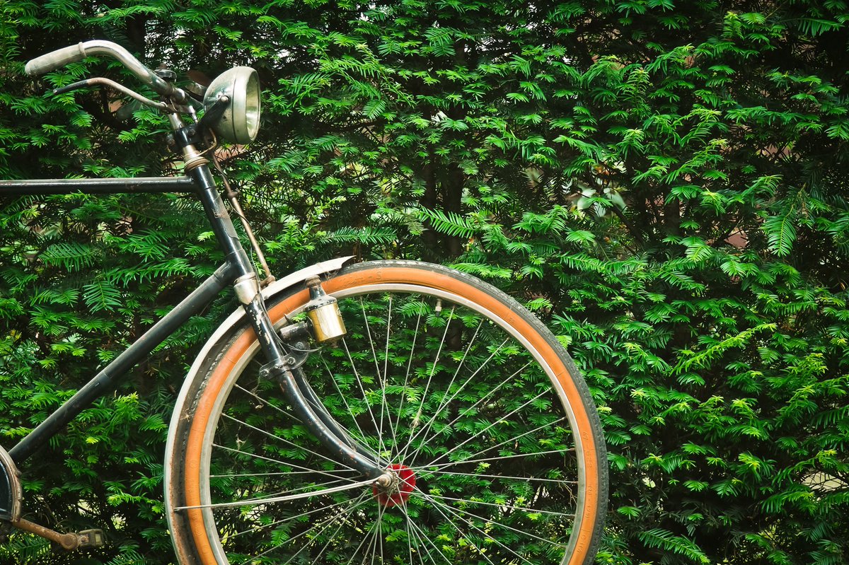 iBikeUtah's tweet photo. We need your help! We are working on building out a more robust advocacy toolkit specific to Utah and are looking for feedback. What do you want to learn about Bicycle Advocacy? What stops you from getting involved? Reply to this tweet with your response https://t.co/WejNjPZ9M5