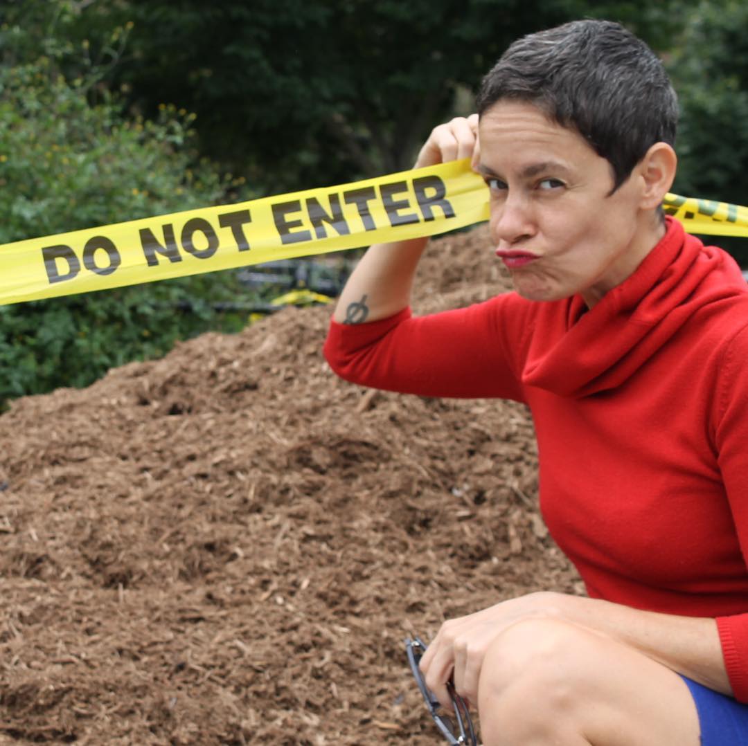 Pterodáctilo tweet media