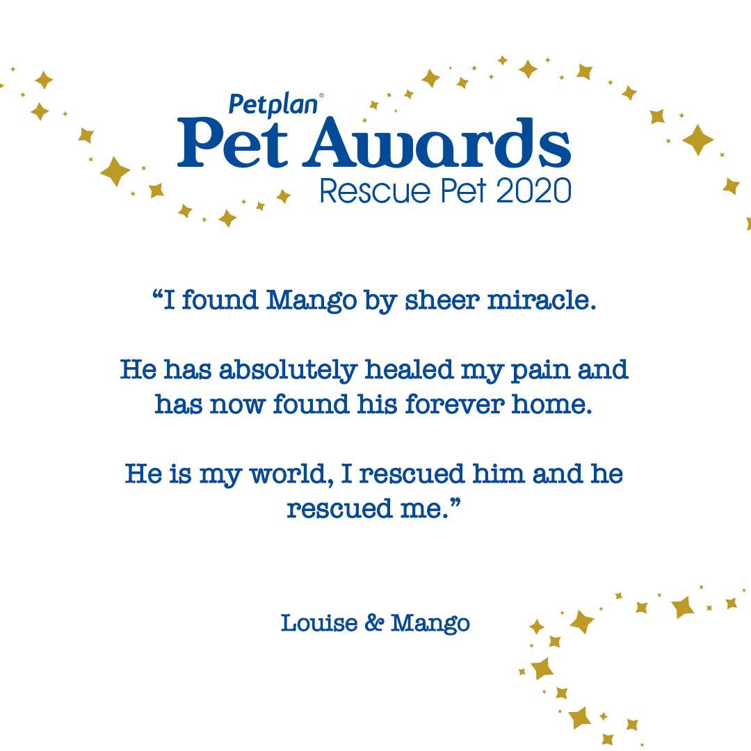 PetplanEquine's tweet photo. Do you have a rescue pony like Mango? ✨ Nominate them now for Rescue Pet of the Year in the #PetplanPetAwards using the link below! 🐴👇

https://t.co/ueDZF39guc

T&amp;C's apply. Nominations close 31st July.

#HorseStories #Horses #RescuePet https://t.co/rK5cXW3u9F