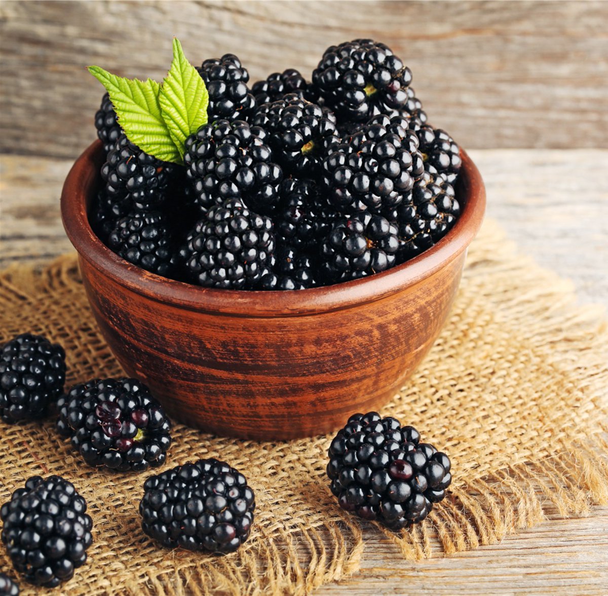 8thDevil's tweet photo. Love blackberries? Love premium vodkia? You've got to try Swallowtail's blackberry infused award-winning vodka! Now you can order it via https://t.co/uefyZ3yQJF. #blackberry #vodka #Swallowtail #8thdevildistributing https://t.co/5PGNVpbW3q