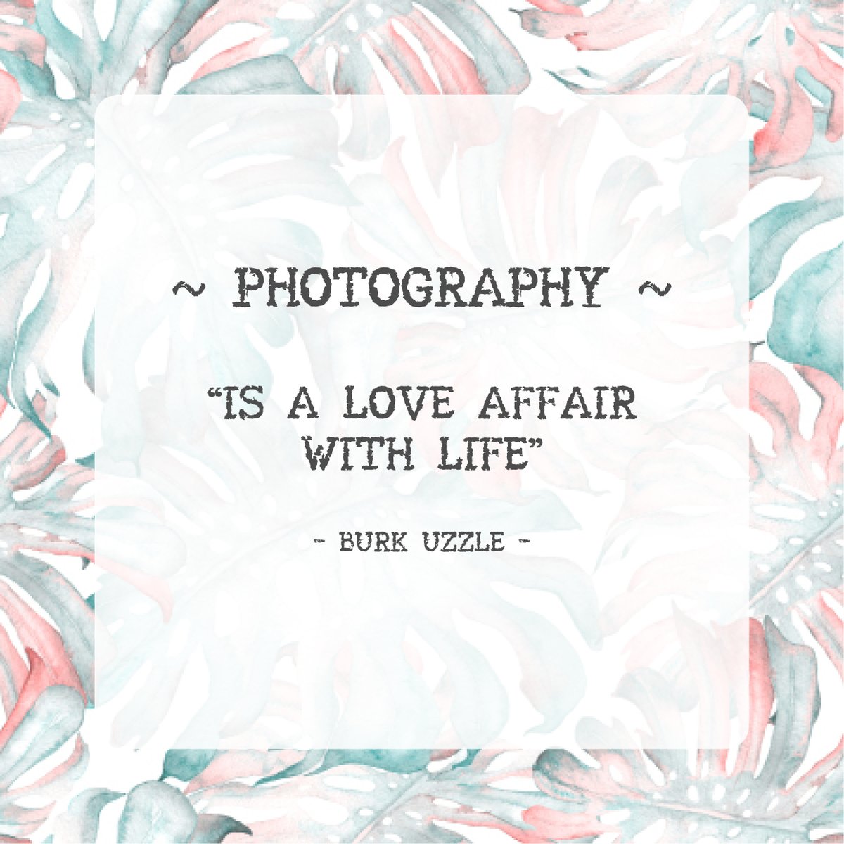 kimsteinberg.com
+27 799832641
info@kimsteinberg.com