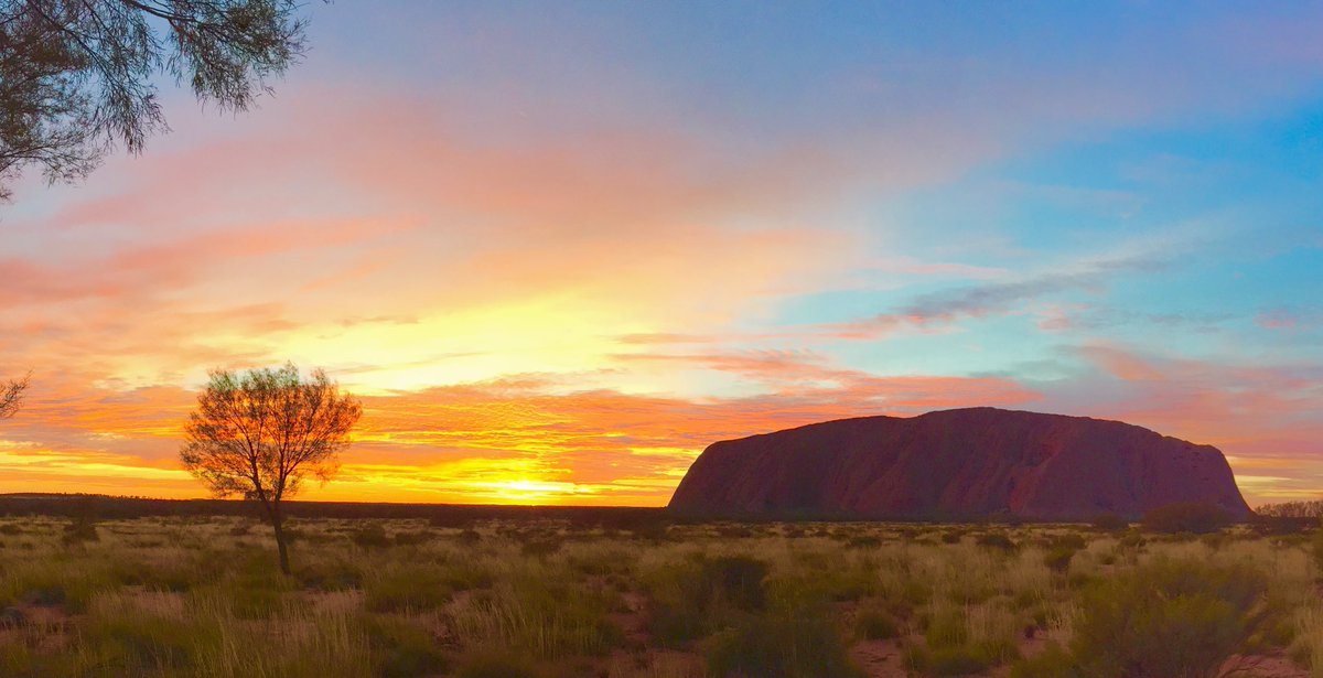 Andrew Wilson tweet media