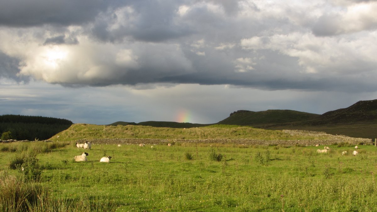 Day 5) cont:Late that afternoon I got back into my stride and blasted through miles of boggy paths in another forest. The end was in sight, and I getting a boot-full-of-bog no longer mattered. I built up a head of steam emerging like a startled yeti to sunset over the Whin Sill.