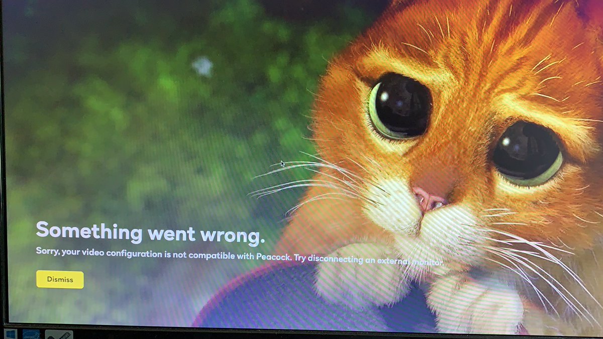 Lmao <a href="/peacockTV/">Peacock TV</a> is cancelled already. No dual monitors? What decade is this?