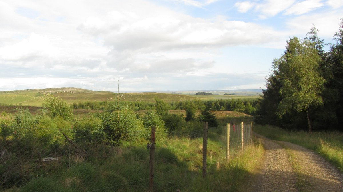 Day 5) cont:Late that afternoon I got back into my stride and blasted through miles of boggy paths in another forest. The end was in sight, and I getting a boot-full-of-bog no longer mattered. I built up a head of steam emerging like a startled yeti to sunset over the Whin Sill.