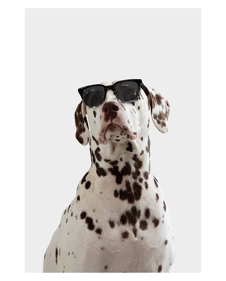 Just one more thing about <a href="/inspected/">Inspected</a>...

As you can see, they've got a great team.