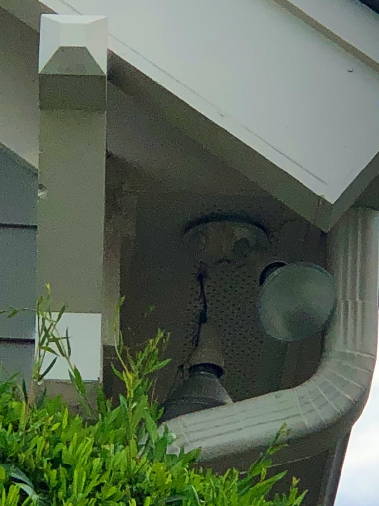 MarioABHI's tweet photo. A #Trumpet vine is not an approved electrical conductor for #fixtures. Use A Better Home Inspection https://t.co/h8sAtViL8g