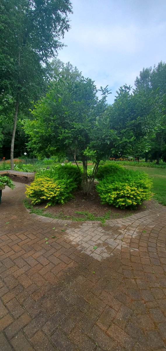 CMTurnquist's tweet photo. Thank you Kevin of KD Hardscapes for transforming our yard! Here is the before and after of our lagoon project #statcation https://t.co/jFsm4v2QzO