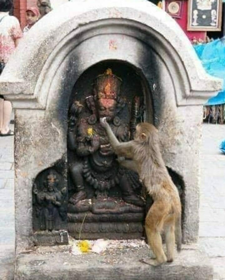 know_ur_dharma's tweet photo. Sometimes simply faith could lead to profound peace! https://t.co/ut3xglMYwP