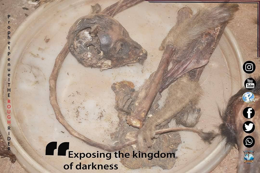 MnguniPenuel's tweet photo. The Honoured

Exposing the Kingdom of Darkness
#InsideTheHouse

The left hand was at defence and the right was attacking, the man of God propet Penuel entered the house which is now a traditional consultation room and every evil was nufilied and exposed.

https://t.co/MtqUKWZ9ty https://t.co/DOiUO8W943
