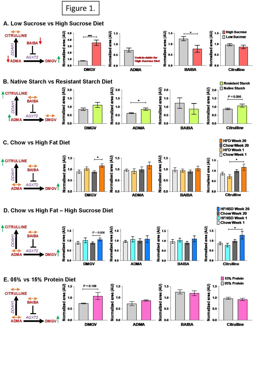 AJPEndoMetab's tweet photo. Nutritional & metabolic regulation of Dimethylguanidino Valeric Acid, an early marker of cardiometabolic disease; new from @Sydney_Uni @Medizin_TUD @uni_tue @DiabResearch @GarvanInstitute @SydneyLHD to read here: https://t.co/d2JB63OWAu #DMGV #nutrition #metabolism #liver https://t.co/UluBAghH4r