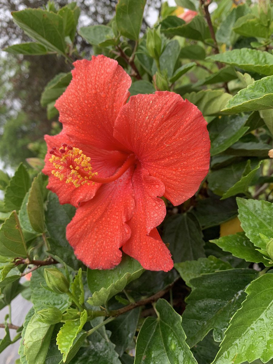 Eric Tepez’s pics and videos