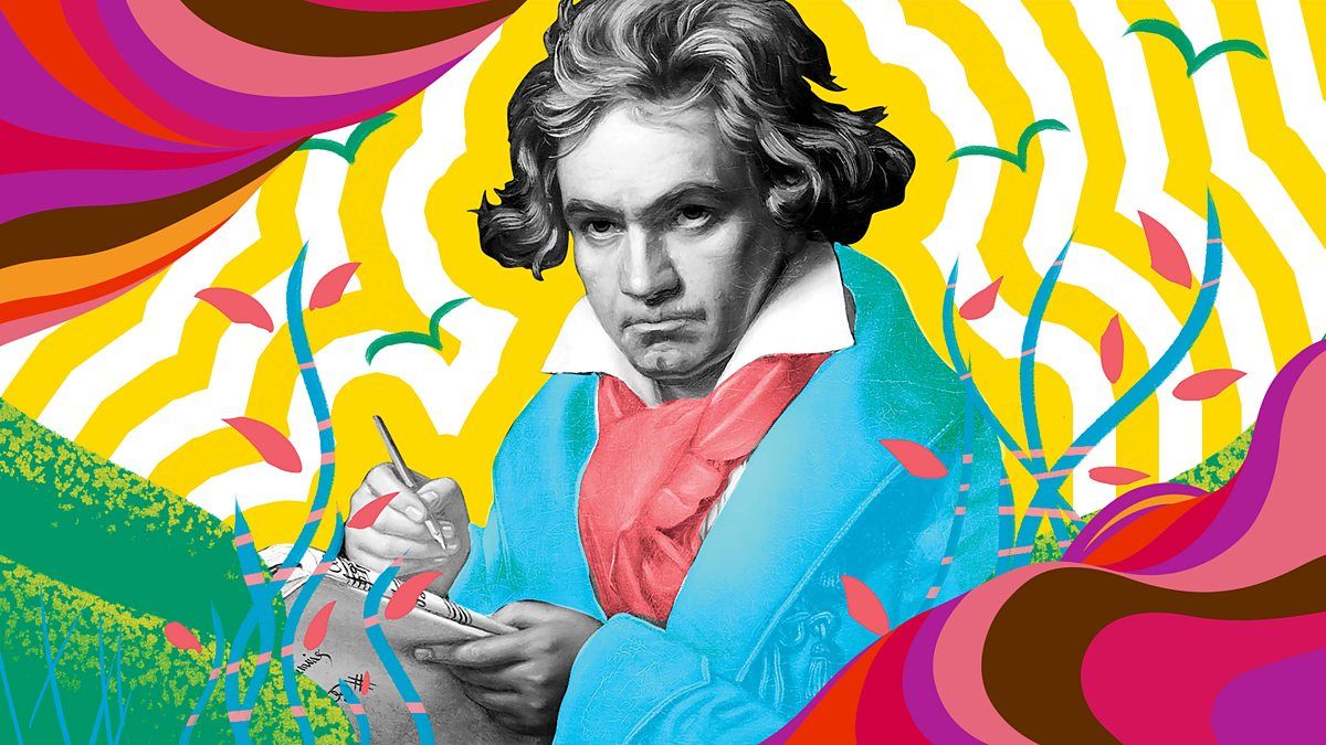 Scottish Chamber Orchestra tweet media
