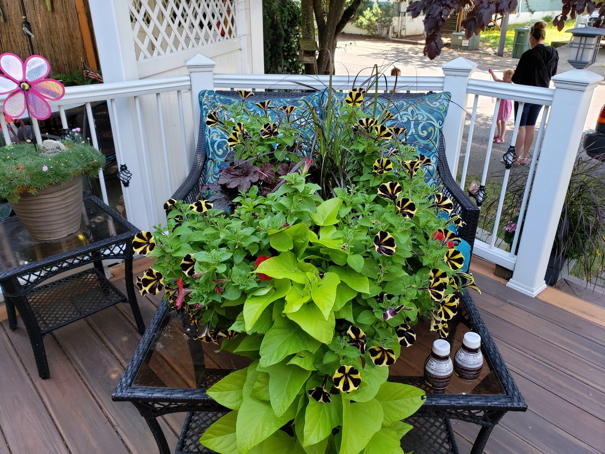 JcMercerJr's tweet image. 