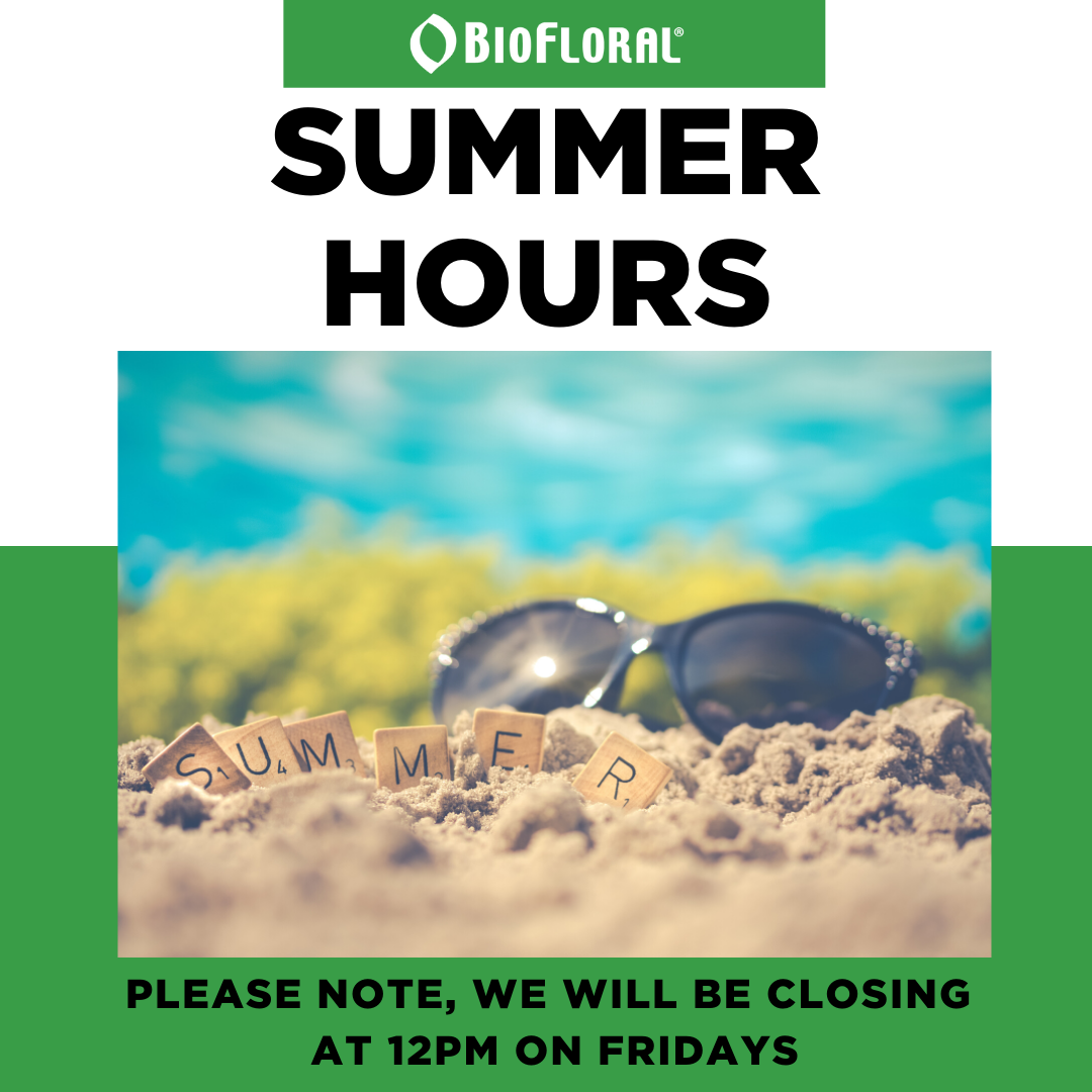 biofloral_ca's tweet image. Please note, we will be closing as of 12PM every Friday for the summer months.

-- 😎 ☀️ 😎 

Veuillez noter que nous fermerons à partir de midi tous les vendredis pour les mois d'été.