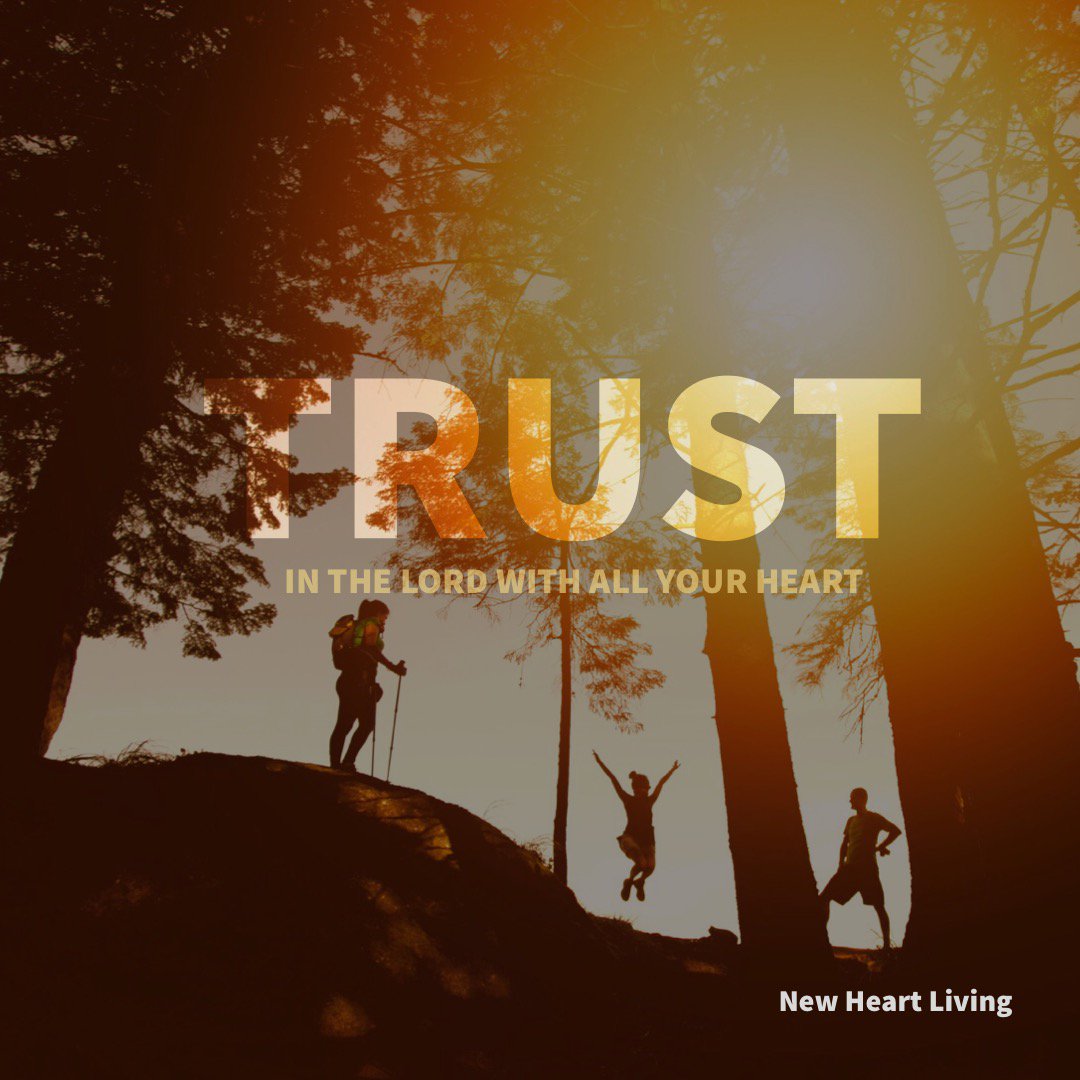 life_valley's tweet photo. If you find yourself walking through a valley, you will need to trust God like never before. Trust Him with where you're heading, how long you're there and all your unanswered questions. Your time with with Him there is your greatest hope and salvation! https://t.co/atNJjHlQhE