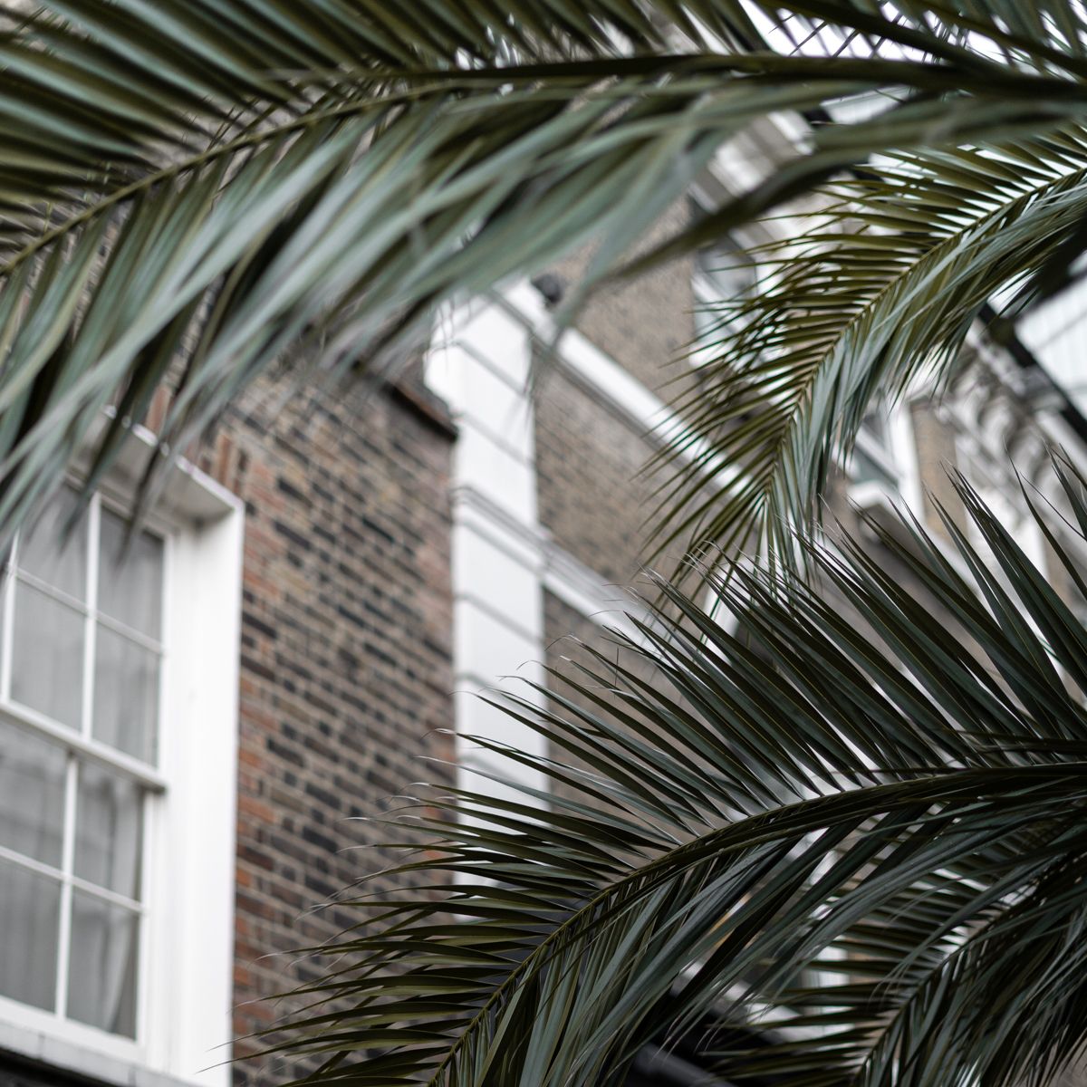 Kip Hotel tweet media