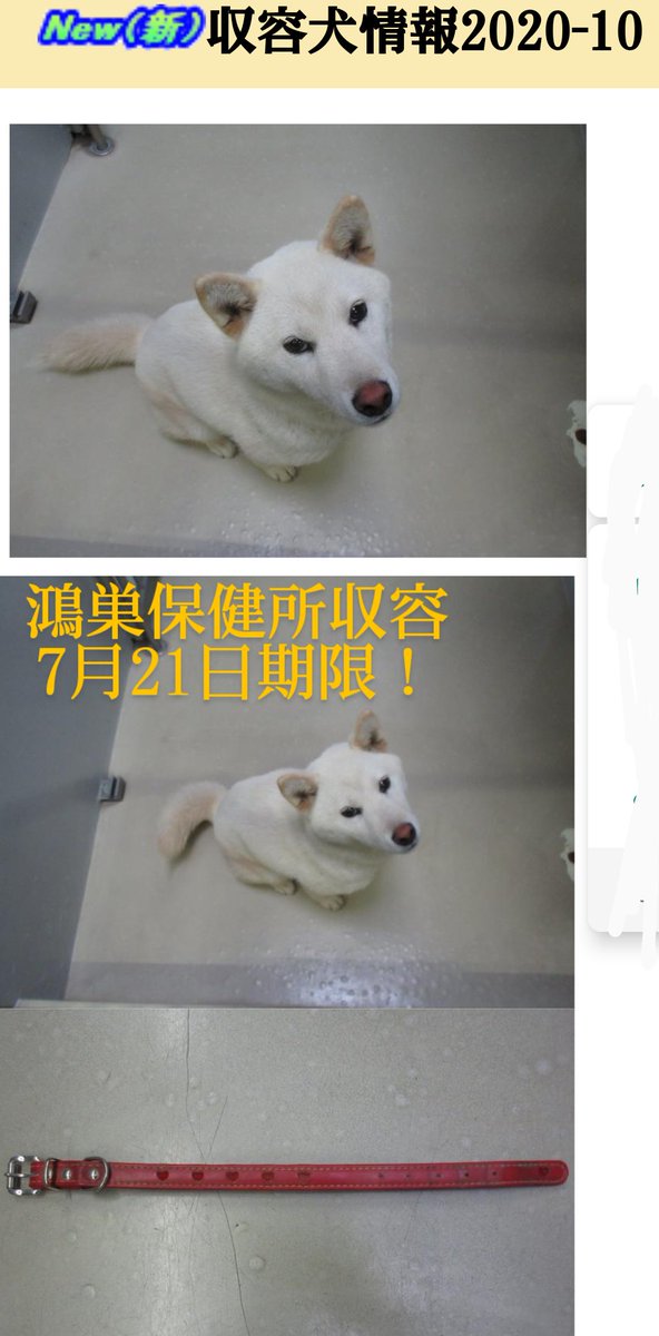 鴻巣保健所 鴻巣保健所