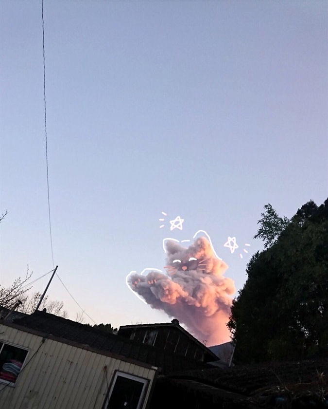 HereKittens's tweet photo. https://t.co/w3HUXIxT5V