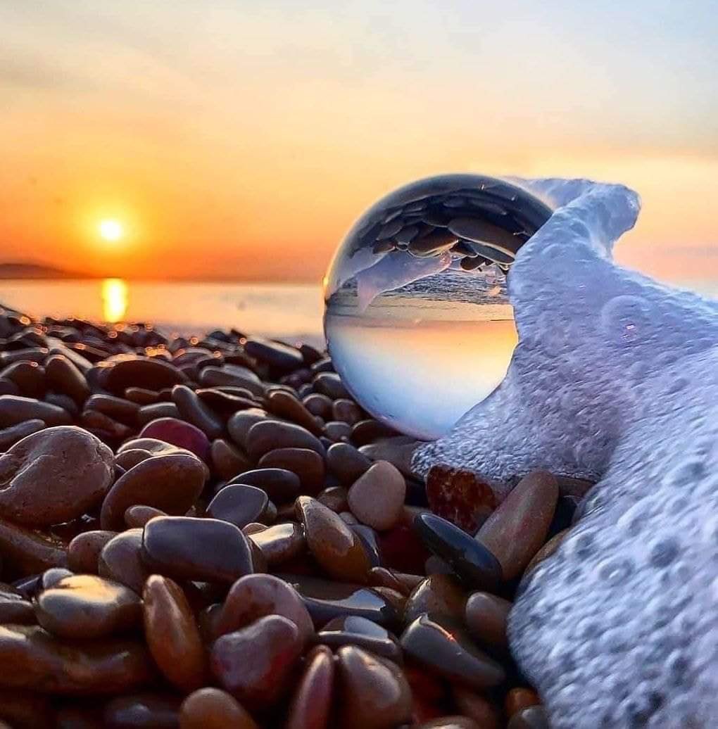 جُـمَالِيَّةٍ وَجْنَاءَ تَرْدَى كَأَنَّهَـا

سَفَنَّجَـةٌ تَبْـرِي لأزْعَرَ أرْبَـدِ

تُبَارِي عِتَاقاً نَاجِيَاتٍ وأَتْبَعَـتْ

وظِيْفـاً وظِيْفاً فَوْقَ مَوْرٍ مُعْبَّـدِ

تَرَبَّعْتِ القُفَّيْنِ فِي الشَّوْلِ تَرْتَعِي

حَدَائِـقَ مَوْلِىَّ الأَسِـرَّةِ أَغْيَـدِ