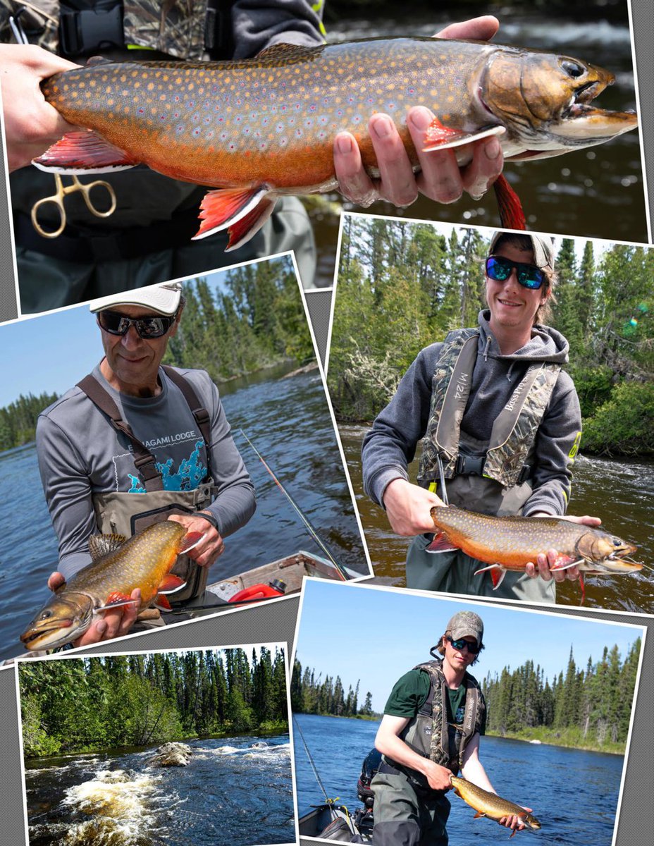 esnagami's tweet image. Esnagami Wilderness Lodge - June 12 To 21, 2020. The COVID Chronicles. 
cabin14.ca/blog/field-jou…