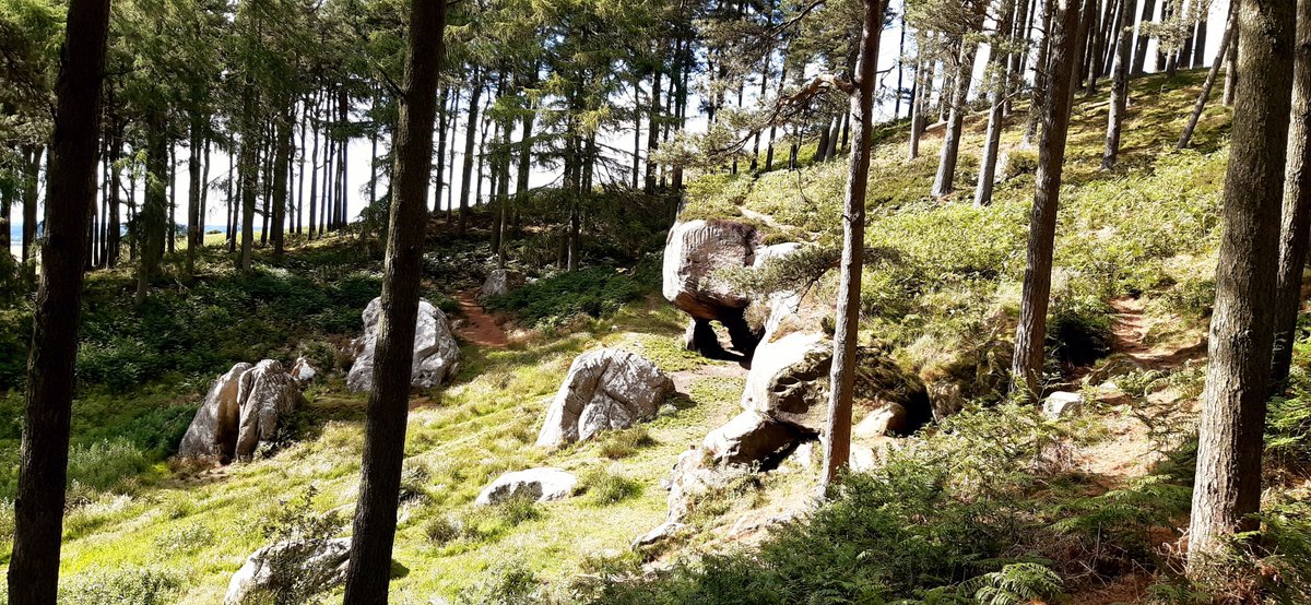 Day 1 cont) I crushed miles of wild chamomile underfoot and it's eponymous smell mingled with the rich scent of high-summer countryside that I craved. Hares scarpered along the tracks. I stumbled down to Cuddy's cave and was delighted by this hidden, engraved, gem.