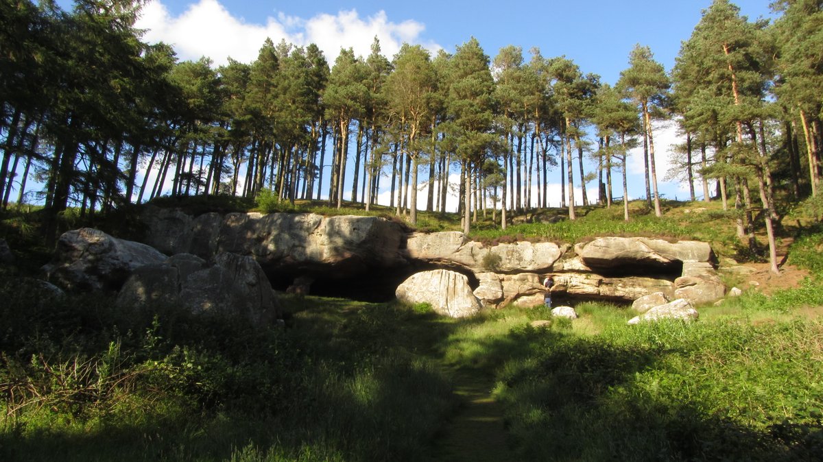 Day 1 cont) I crushed miles of wild chamomile underfoot and it's eponymous smell mingled with the rich scent of high-summer countryside that I craved. Hares scarpered along the tracks. I stumbled down to Cuddy's cave and was delighted by this hidden, engraved, gem.