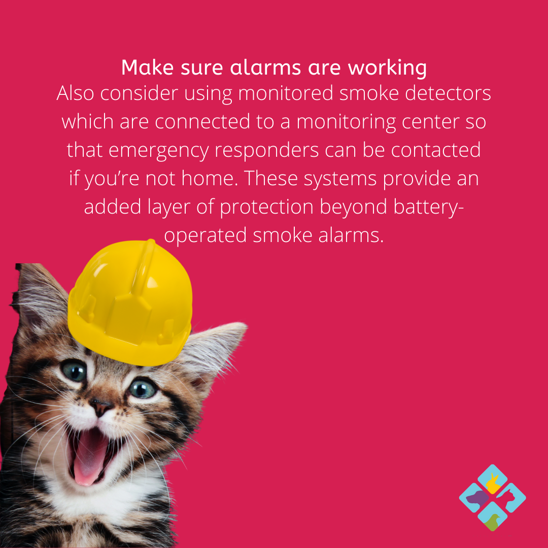 HumaneDominion's tweet photo. #PetFireSafetyDay #animallovers #AnimalWelfare https://t.co/LwmWdsa4HB