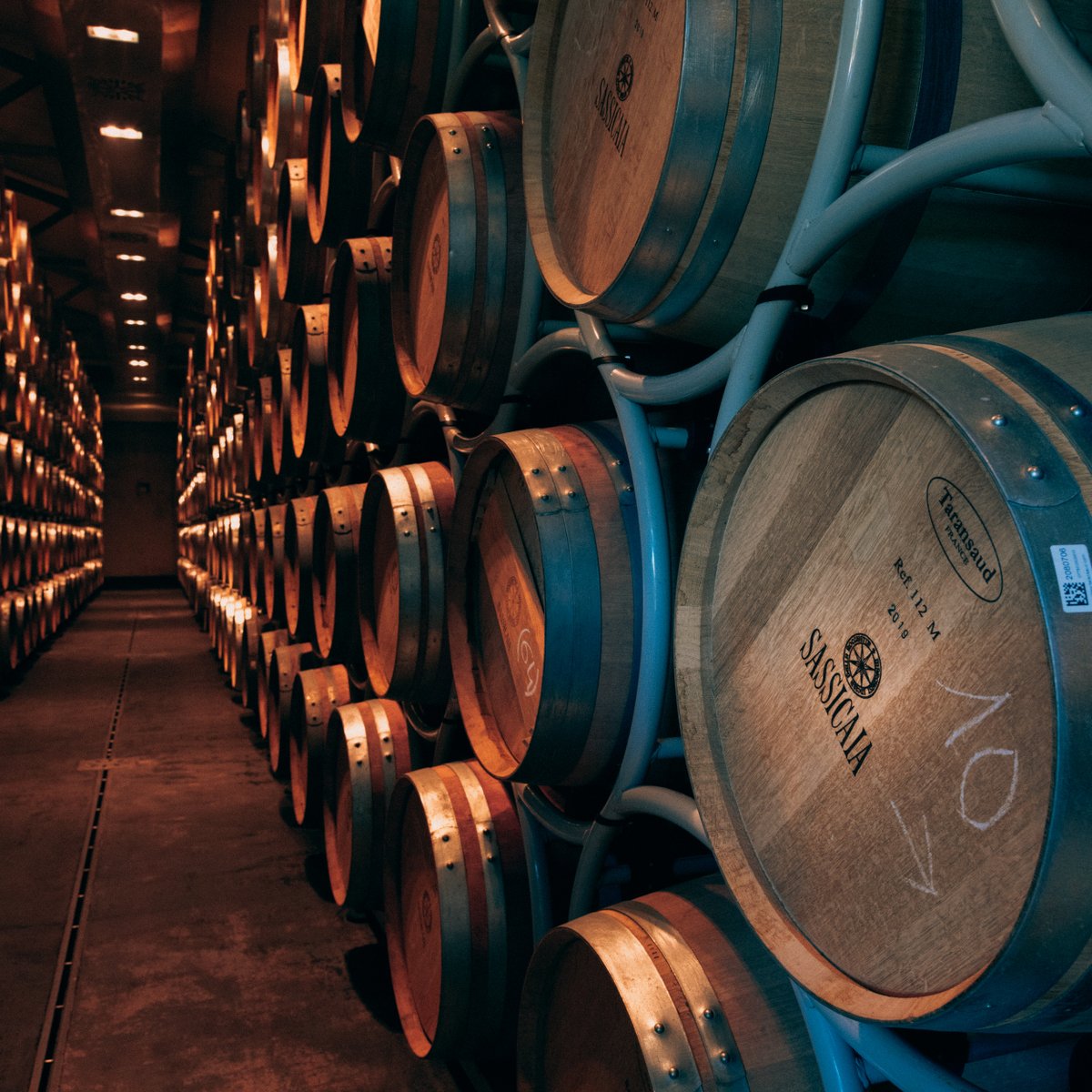 #Bolgheri portraits: introducing #TenutaSanGuido, the first winery who created the Bolgheri style in the forties, producer of DOC Bolgheri #Sassicaia. Founded and led still today by the Incisa della Rocchetta family.