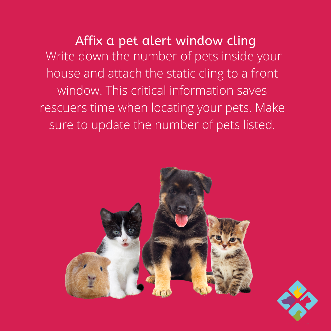 HumaneDominion's tweet photo. #PetFireSafetyDay #animallovers #AnimalWelfare https://t.co/W9i1JRXqcS