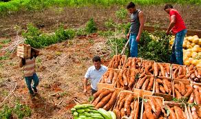 NiltoTatto's tweet photo. Câmara adia mais uma vez votação do PL de auxílio a agricultores; oposição pressiona
PL 735 prevê medidas emergenciais para trabalhadores rurais e aguarda votação no plenário
"Cristiane Sampaio" @brasildefato
https://t.co/ift53tY0xA
@MST_Oficial #Fetraf #AprovaPL735ContraFome https://t.co/IeOTn2KJXL