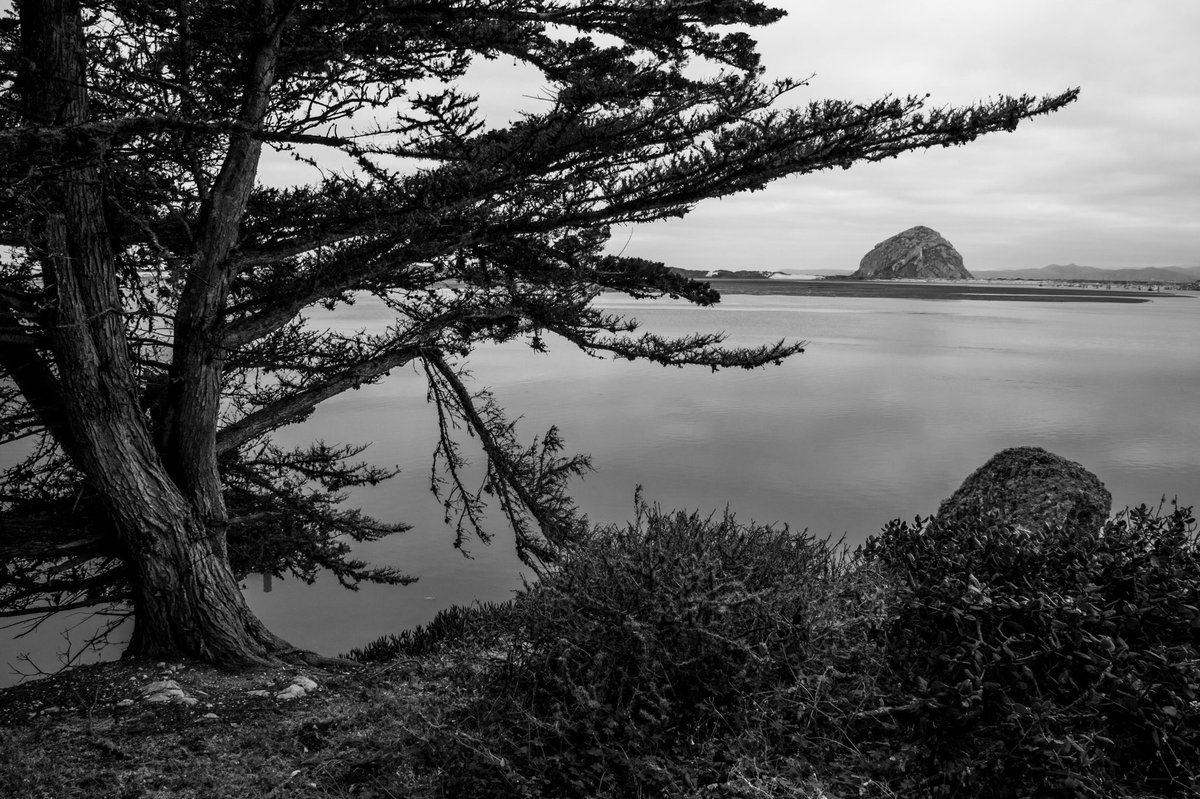 View of Morro Rock from the Morro Bay Estuary. This image works well in black and white.   Looking forward to creating more images. #morrorock #morrobay #landscapephotography