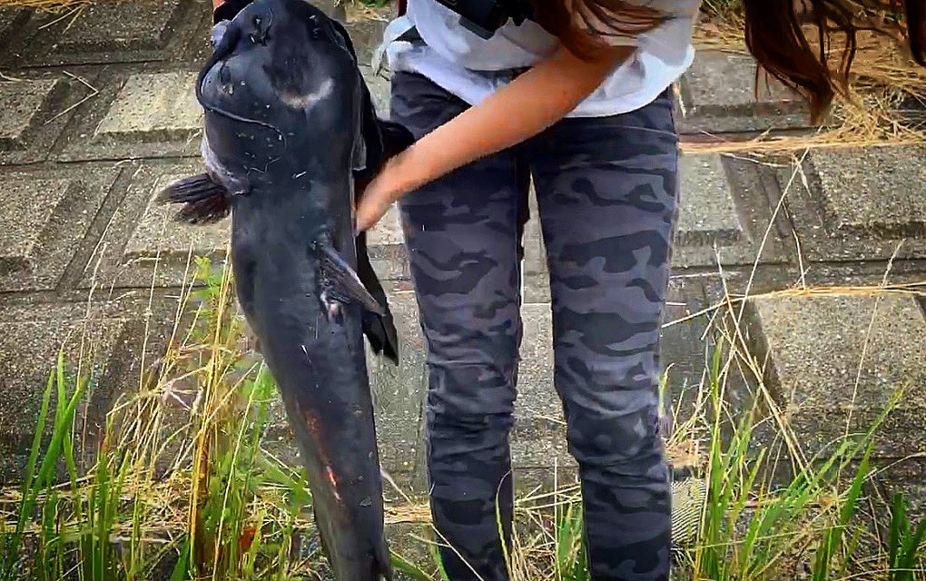 冨士木 耶奈 Kana Fujiki きのうの 耶奈チャンネル 見ていただけましたか 耶奈の足より太い 巨大怪魚が釣れました まだ見てない方はぜひ見てね 怪魚ハンター 珍獣ハンター 巨大魚 釣りバカ 冨士木耶奈