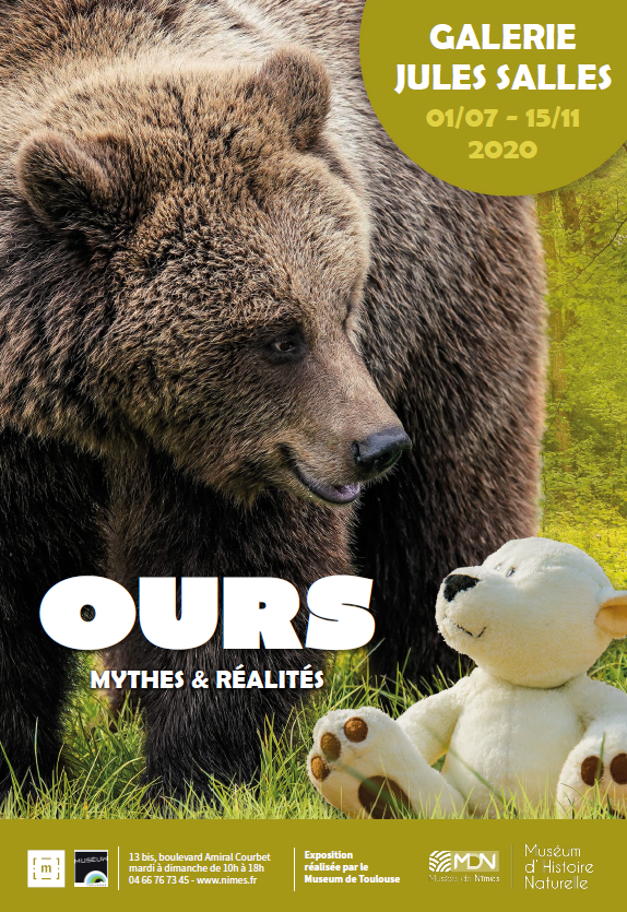 [EN CE MOMENT] Ne manquez pas notre #exposition itinérante "#Ours, mythes et réalités" présentée au Muséum de #Nîmes jusqu'au 15 Novembre 2020. Plusieurs spécimens du Muséum seront présentés à cette occasion! <a href="/museumtoulouse/">Muséum de Toulouse</a>