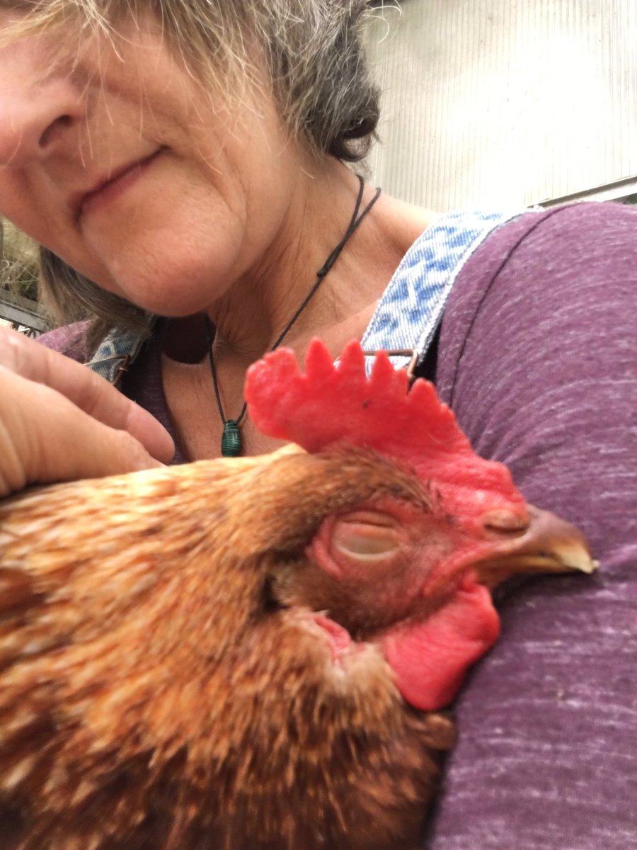 xFlutterGirlx's tweet photo. @JohnOberg @SASHAFarm Me and Clementine https://t.co/BhMAjL0ibt