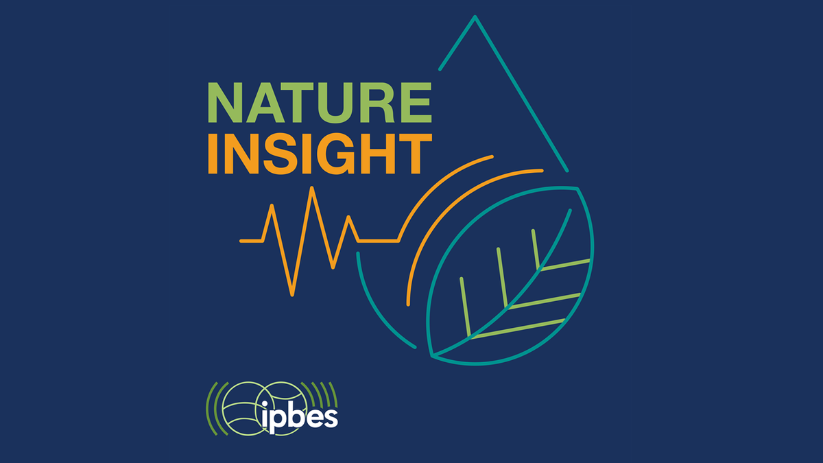 How do we incorporate different knowledge systems in the battle for biodiversity? 

Billy Offland set off on a 2-year journey to learn about conservation from as many different people as possible. 

Find out more in the <a href="/IPBES/">ipbes</a> podcast: Nature Insight

🎧link.chtbl.com/cNKLPxsi