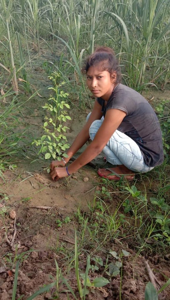 Dalmia_DBF's tweet photo. Expressing their gratitude trainees from #DIKSHa #Shahjahanpur, #UttarPradesh along with their family members, planted 50 saplings. Former trainees also observed the #WorldYouthSkillDay at their respective work places. #5YearsofSkillIndia @WorldSkillsInd @WorldSkills @NSDCINDIA https://t.co/bZfsWLlqNs