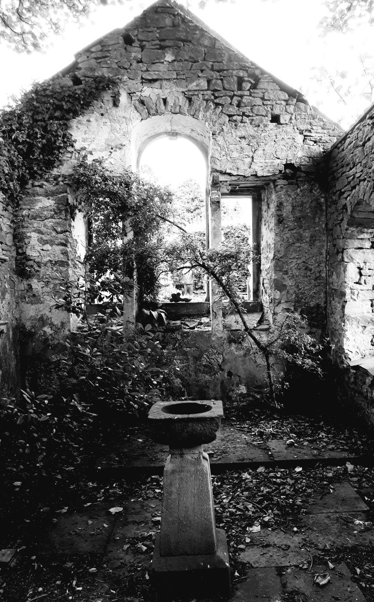 Lucy Strange tweet media