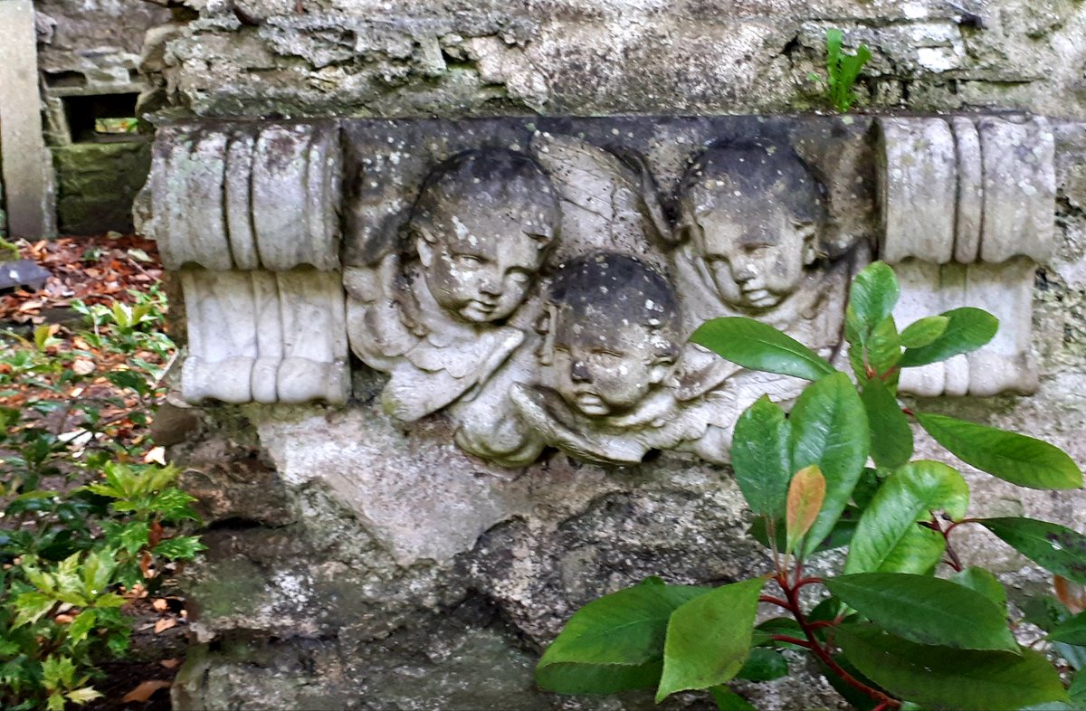 Lucy Strange tweet media