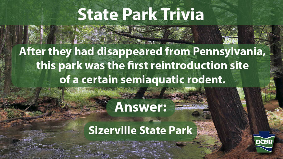 DCNRnews's tweet photo. Think you got the right answer from yesterday’s #PAStateParksTrivia? The answer is: #SizervilleStatePark!
After beavers disappeared from the state, the Pennsylvania Game Commission received a pair of beavers from the state of Wisconsin and released them on East Branch Cowley Run. https://t.co/btNRcUeCZF