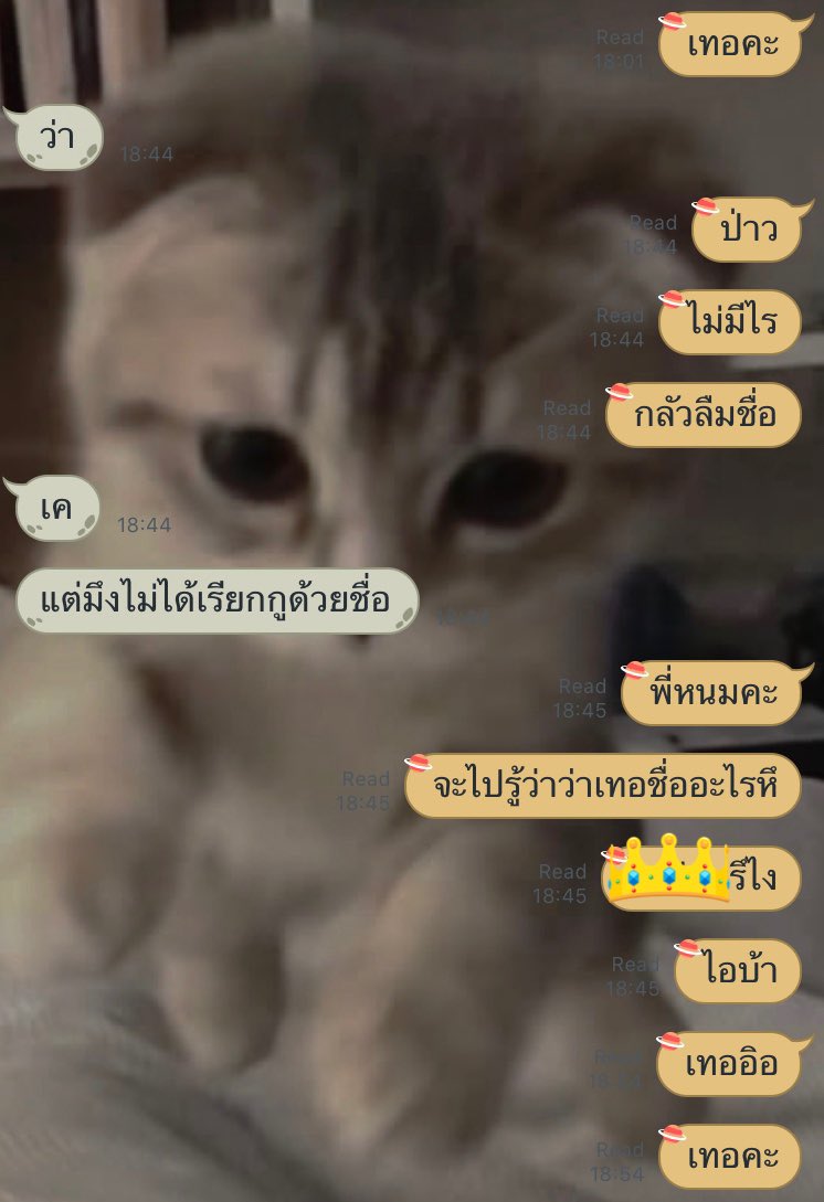แอคขิงไอ้ควาย🍞🐃💗 tweet media