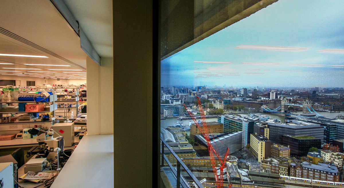 KCLstemcells's tweet photo. We're looking for an Ops Officer! 

You'll provide executive support to our Director Prof Fiona Watt as well as day-to-day support for general operations of the Centre for Stem Cells &amp; Regenerative Medicine.

💸£32,676 to £37,297
🗓2nd August 2020

https://t.co/zmW1C2hFZu https://t.co/7B9o4ccPTc