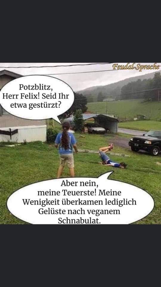 Da soll mal jemand sagen veganer hätten kein Humor 😝 #vegan #veganer