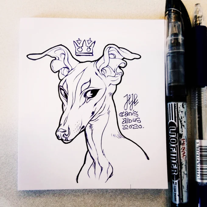 Italian greyhound. Coffee break doodle. 