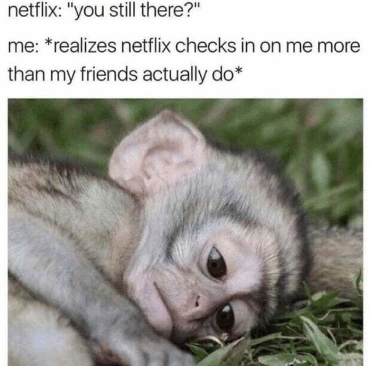 2funny_memes's tweet photo. Netflix 🥺😅 #stalker #netflix https://t.co/AhJ8vBHLRB
