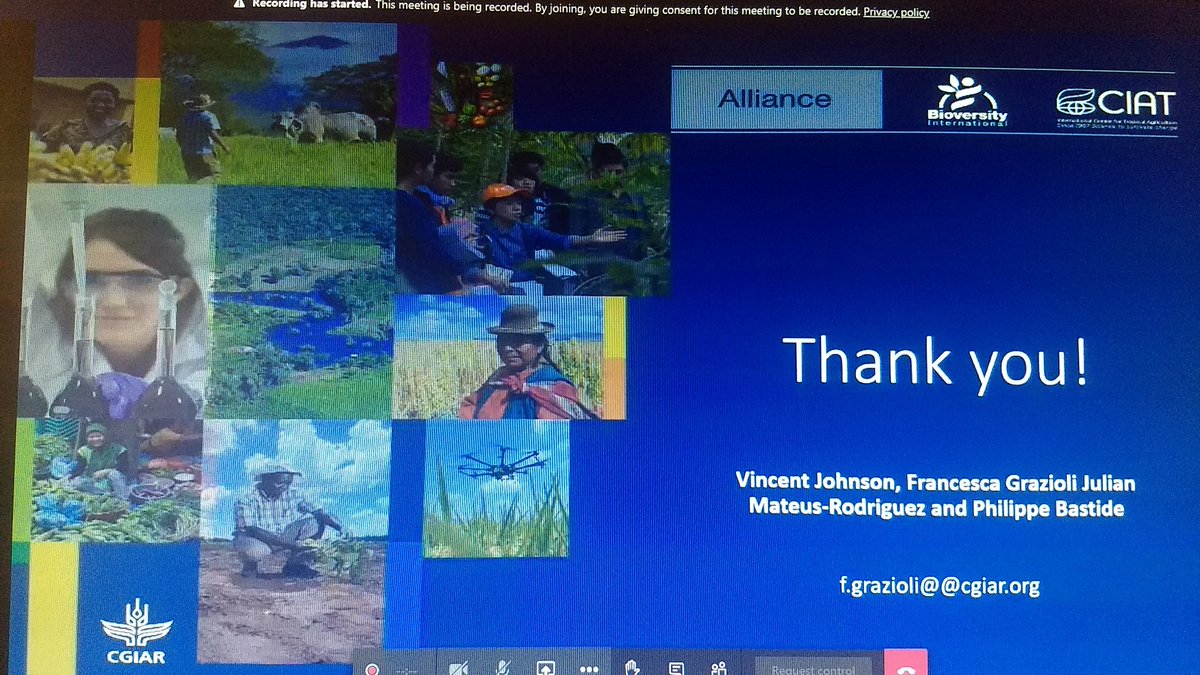 Julián F Mateus R (@jumate) on Twitter photo It's been great to support the Cacao CFCE-CC project and <a href="/BiovIntCIAT_eng/">Alliance of Bioversity International and CIAT</a> team funded by <a href="/WorldCocoa/">World Cocoa Foundation</a>. We made important partnership <a href="/SomosAGROSAVIA/">AGROSAVIA</a> <a href="/UniRdg_SAPD/">SAPD at Reading Uni</a> <a href="/Cirad/">Cirad</a> <a href="/CATIEOficial/">CATIE</a> and UESC-CEPLAC It's been great to support the Cacao CFCE-CC project and <a href="/BiovIntCIAT_eng/">Alliance of Bioversity International and CIAT</a> team funded by <a href="/WorldCocoa/">World Cocoa Foundation</a>. We made important partnership <a href="/SomosAGROSAVIA/">AGROSAVIA</a> <a href="/UniRdg_SAPD/">SAPD at Reading Uni</a> <a href="/Cirad/">Cirad</a> <a href="/CATIEOficial/">CATIE</a> and UESC-CEPLAC