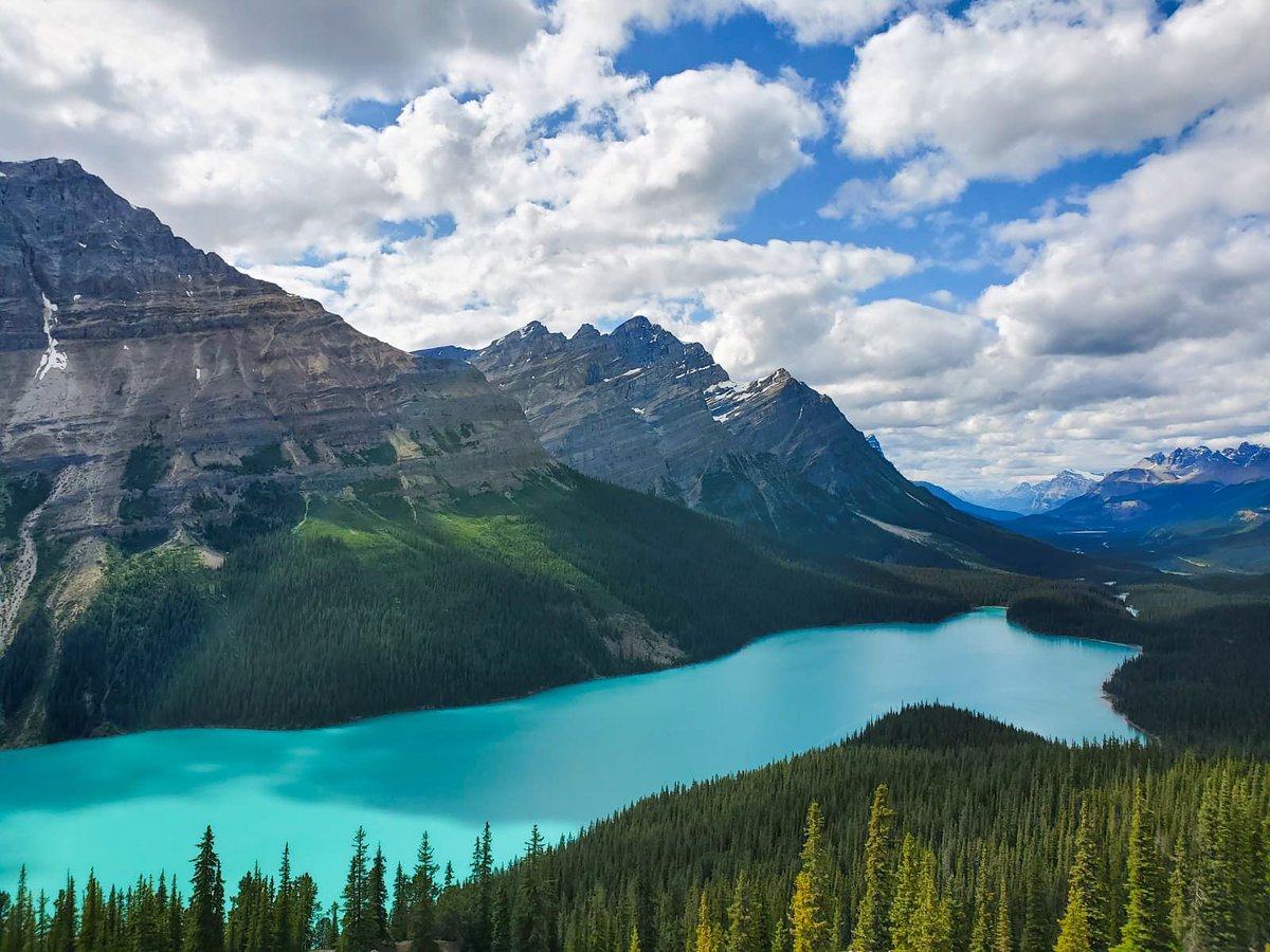 sheralidesigns's tweet photo. Peyton Lake
#peytolake #alberta #canada #explorealberta #banff #explorecanada #sheralidesigns #banffnationalpark #visitbanff @BanffNP @Banff_Squirrel @Banff_Town #canon @canoncanada #albertaparks #travelalberta @TravelAlberta @ExploreCanada https://t.co/RYzMzt5i2o