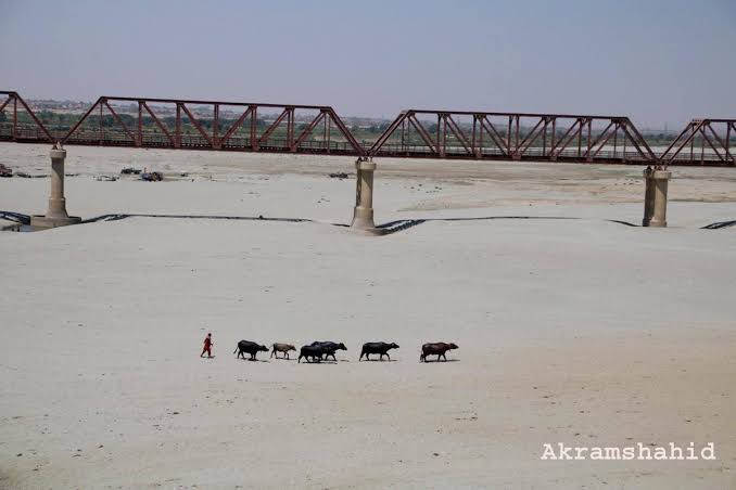 ZML184's tweet photo. #SindhRejectsBhashaDam 
Stop construction of dam on Indus River People of Sindh are suffering due to shortage of water. There is no water in Thar even for drink.,,,
 https://t.co/rgHlFrUQiq